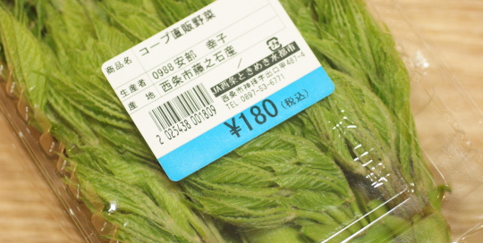 タラの芽 ネット通販