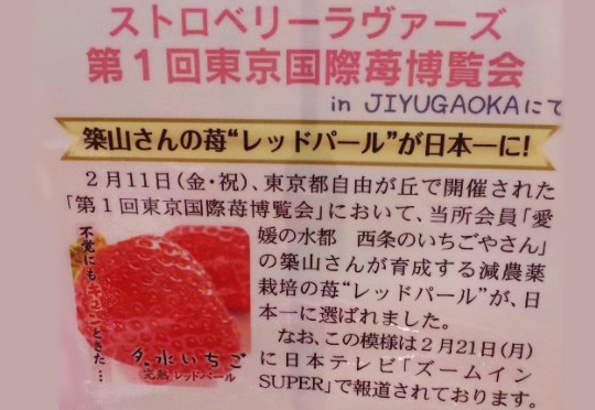 日本一のおいしいイチゴ
