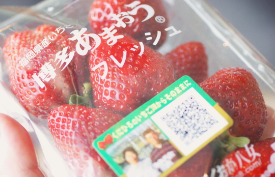 ܂ O̗R